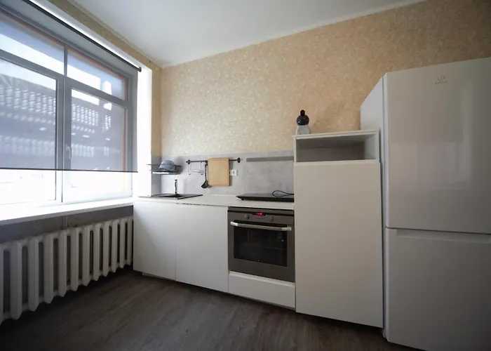 Three Bedroom Apt - Next To St Peters Church Riga